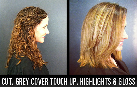 Cut, Grey Cover Touch Up, Highlights and Gloss